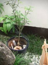 15083102-1.jpg