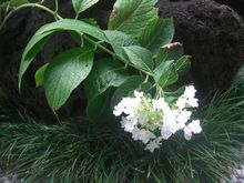 15083103-1.jpg