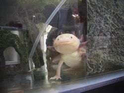16042247-1.jpg