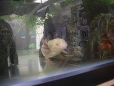 16071512-1.jpg