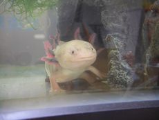 16071513-1.jpg