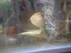 16071515-1.jpg