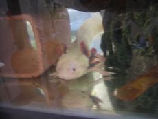 16071521-1.jpg