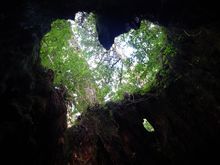 16081282-1.jpg